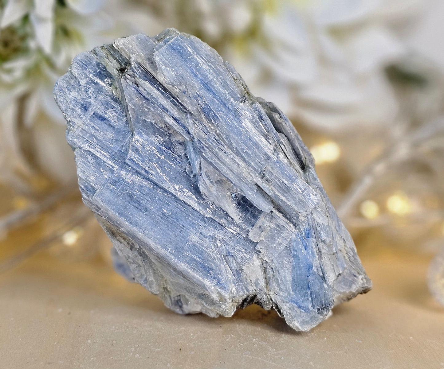 Raw Blue Kyanite Crystals