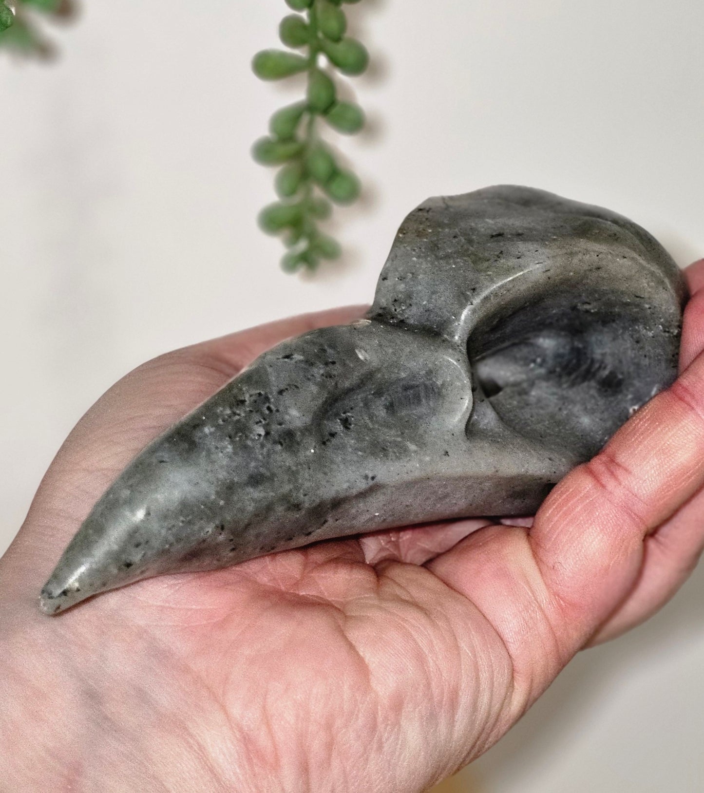 Labradorite Raven Skull