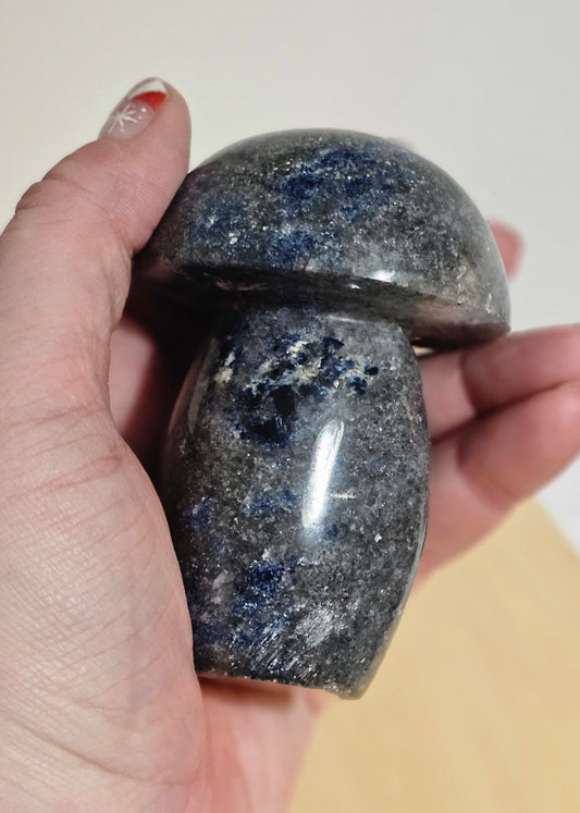 Big Sodalite Mushroom